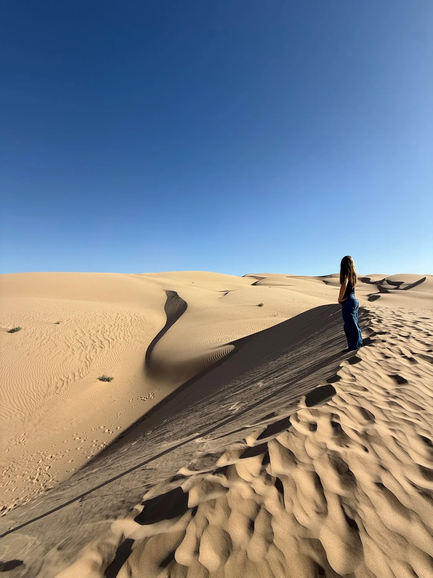 Sand dunes near Yuma, Arizona